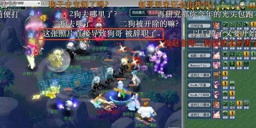 二狗梦幻西游爆料视频,揭秘游戏内幕与未来动向